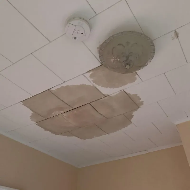 Ceiling Water Damage Repair in Brooklyn Center, MN