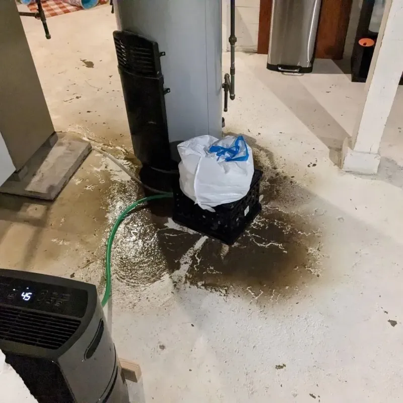 Sewage Backup Cleanup Service in Brooklyn Center, MN